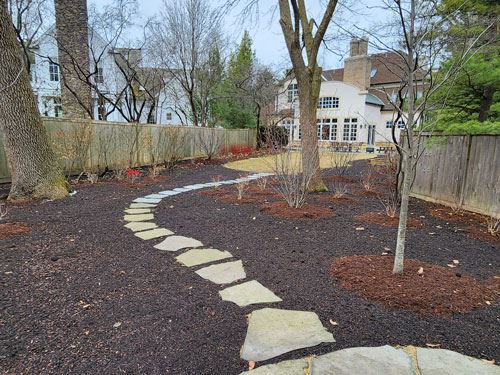 Green Award Collins photo attachment